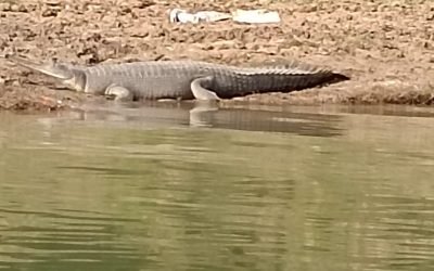 WhatsApp Image 2026-03-18 at 12.43.42 PM