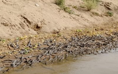 WhatsApp Image 2026-03-18 at 12.48.56 PM