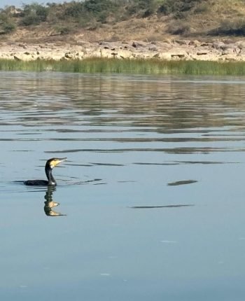 WhatsApp Image 2026-03-18 at 12.48.57 PM (1)